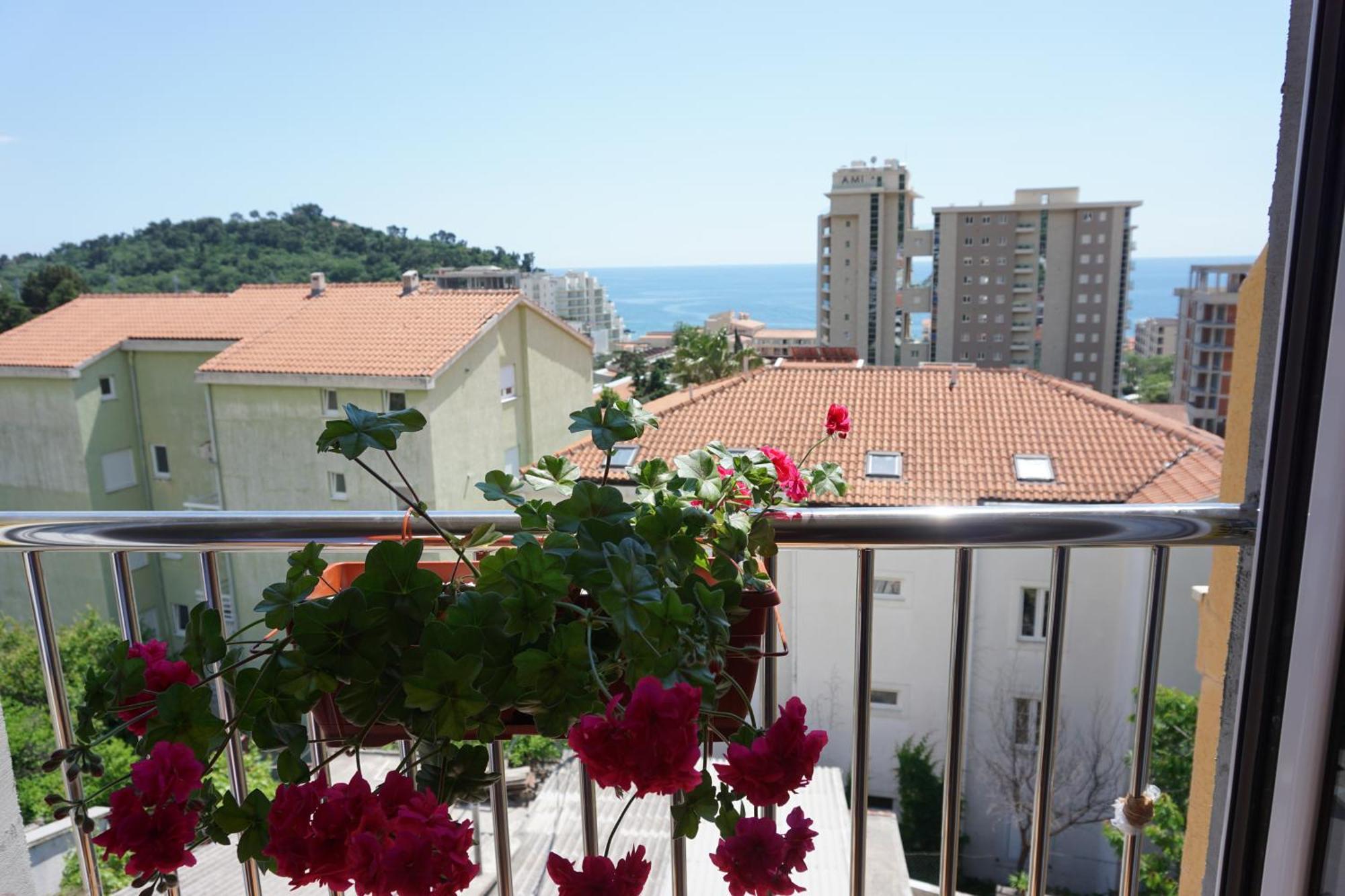Vila Lena Petrovac 部屋 写真